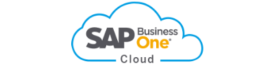ERP software sap b1 cloud