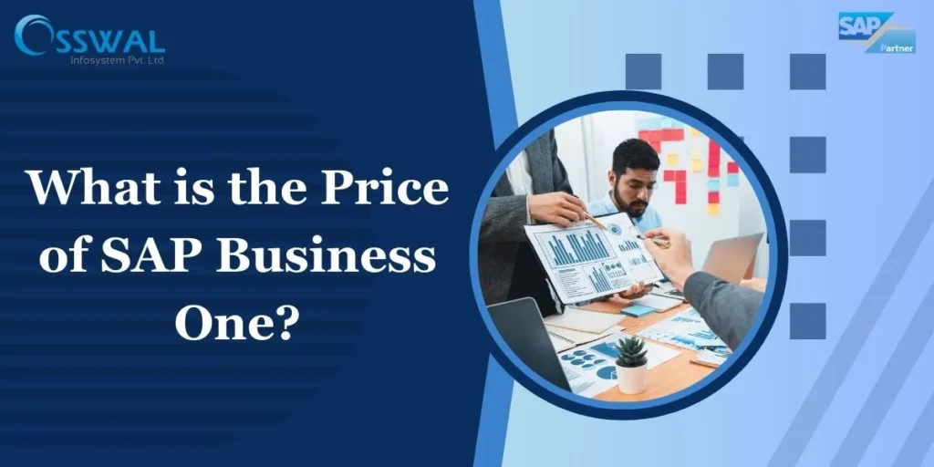 SAP B1 Cost in India | What is the Price of SAP Business One?